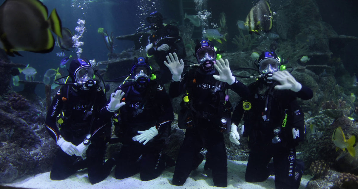 Dive & Snorkelling Store Skegness Aquarium