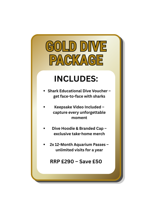 Gold Shark Dive Package (Saves £50)