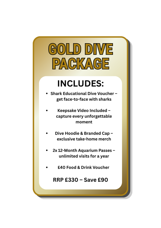 Gold Shark Dive Package (Saves £90)