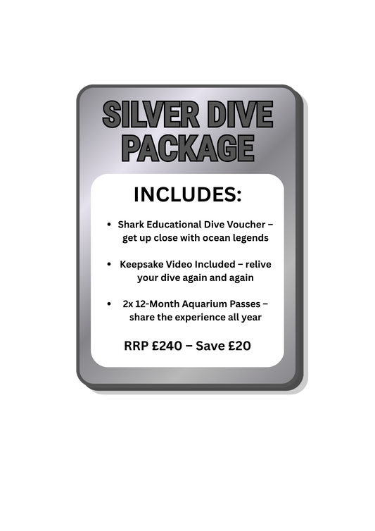 Sliver Shark Dive Package (Save £20)