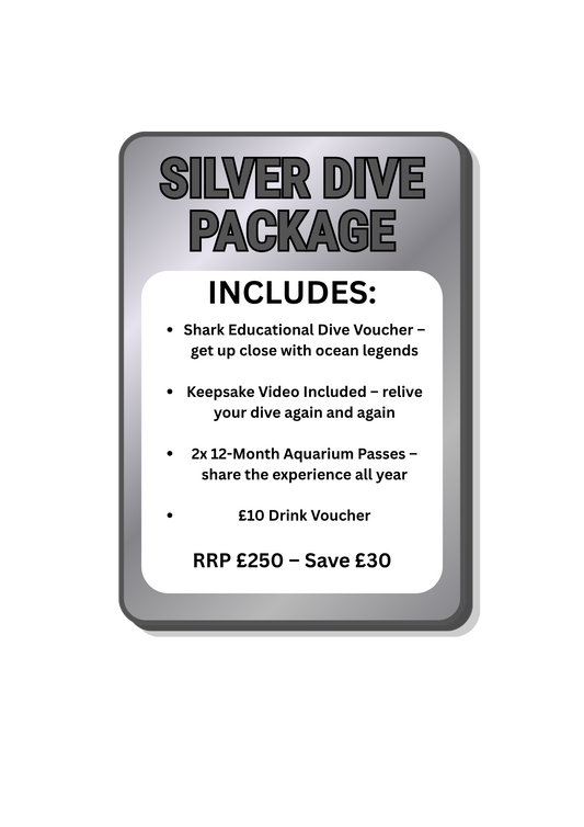 Sliver Shark Dive Package (Save £30)