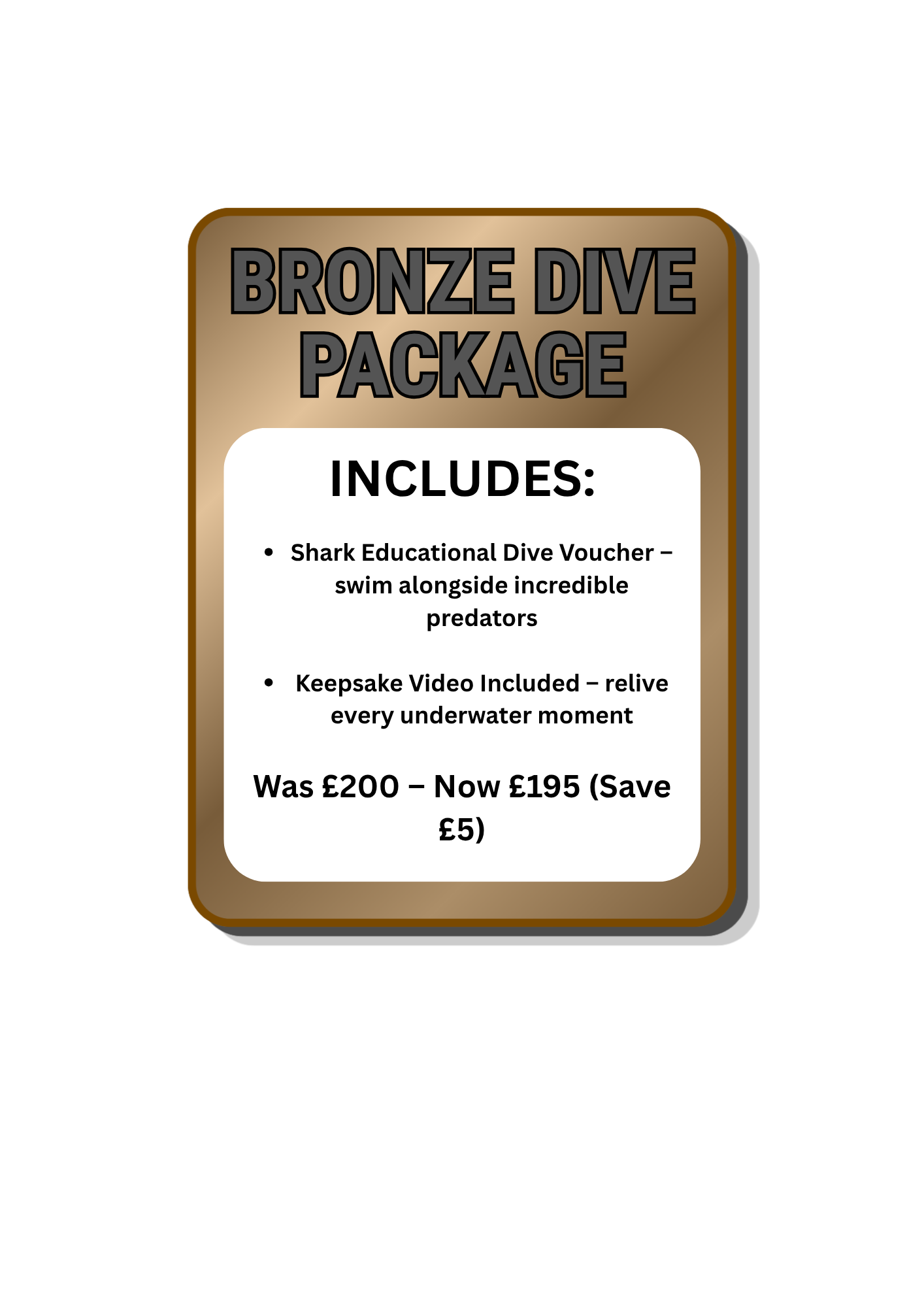 Bronze Shark Dive Package (Save £5)