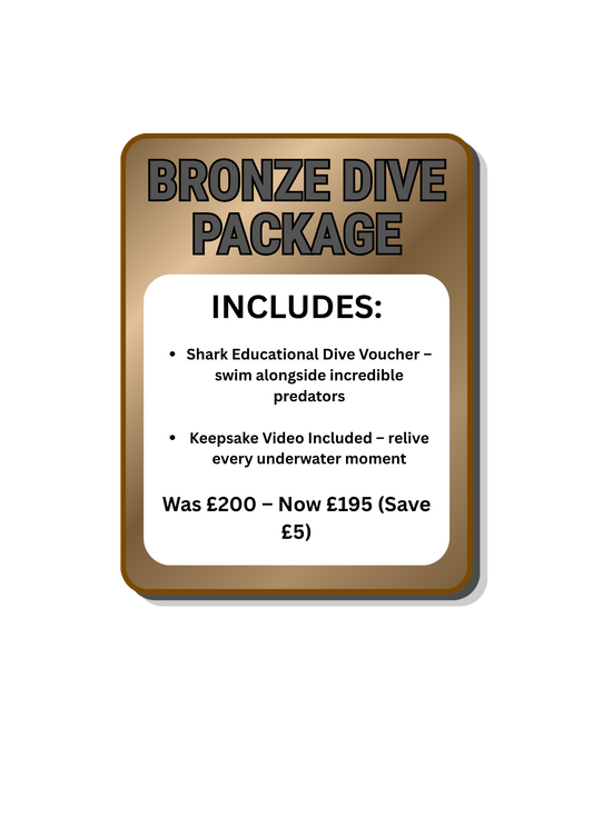 Bronze Shark Dive Package (Save £5)