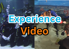 Load image into Gallery viewer, Shark Experience Video