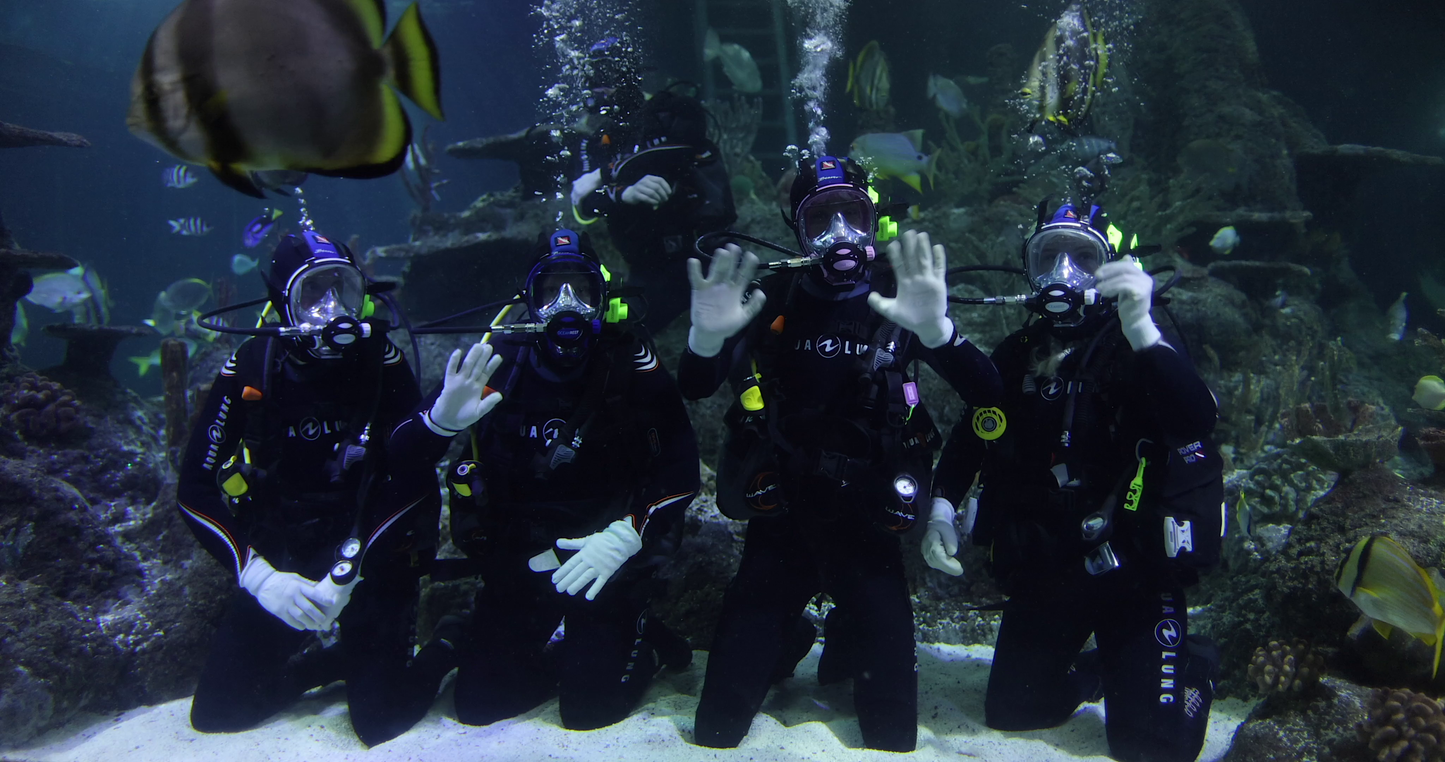Four scuba divers posing underwater with marine life around them