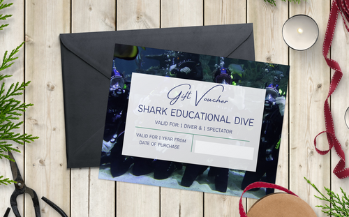 Shark Educational Dive Gift Experience