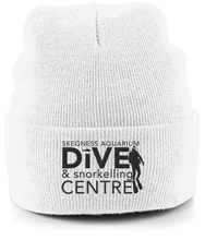 Load image into Gallery viewer, Cuffed Beanie Dive Logo