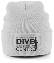 Load image into Gallery viewer, Cuffed Beanie Dive Logo