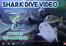 Load image into Gallery viewer, Shark Experience Video